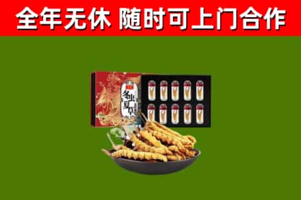 麻山回收冬虫夏草价格